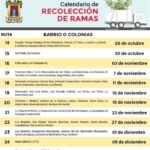 RECOLECCIONDERAMAS1
