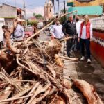 RECORRIDOSMARGARITA1