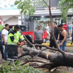 DAÑOSLLUVIAVILLADEALVAREZ