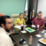 SEIDUMINFORMAFECTACIONES