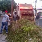 RECOLECCIONDELASRAMAS