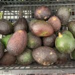 AGUACATEDECALIDADCOLIMA