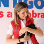 MASDE700MASCOTAS