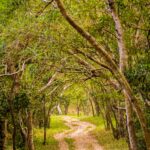 PROFESORUNIVERSITARIOGANA1