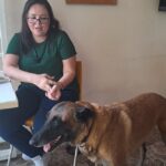 AYUDEMOSAREXYMASCOTA