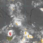 TORMENTAROPICALNORA