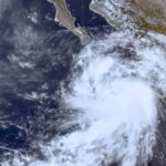 TORMENTATROPICALEUGENE