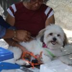 INICIAJORNADAVACUNACION