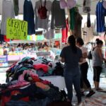 REGRESATIANGUISDELASPULGAS