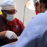 SEFORTALECENLOSPROYECTOS