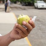 SALUDALIMENTACIONSANA