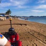 REPORTANSALDOBLANCOPCCOLIMA