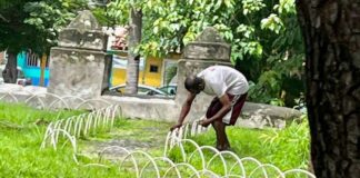 Ayuntamiento de Colima Atiende Caso de Persona en Situación de Calle en el Jardín de San Francisco de Almoloyan