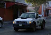 Salud Colima Refuerza Fumigación en los 5 Municipios Prioritarios Por Dengue