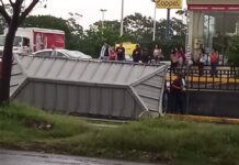 Saldo de la Lluvia: Árboles, un Poste y un Paradero de Autobuses Caído