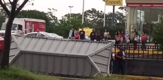 Saldo de la Lluvia: Árboles, un Poste y un Paradero de Autobuses Caído