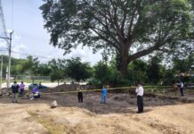 Ayuntamiento de Colima Suspende Obra Irregular Que Dañaba Arbolado en Bosques del Sur