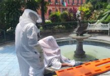 Ciudadano Atacado Por Abejas Recibe Atención Médica; Ayuntamiento de Colima da Acompañamiento a su Familia