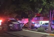 Confirma Mesa de Coordinación Estatal: Seis Asesinados y un Herido en Panadería de Colima