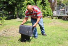 Salud Colima Alerta: Lluvias Aumentan Criaderos Del Mosco Transmisor Del Dengue