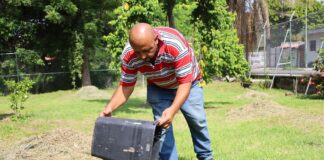 Salud Colima Alerta: Lluvias Aumentan Criaderos Del Mosco Transmisor Del Dengue