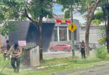 Gobierno de Riult Rivera Poda y Limpia el Camellón de Ignacio Sandoval Para un Colima Más Limpio y Ordenado