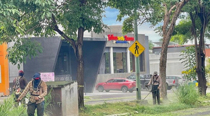 Gobierno de Riult Rivera Poda y Limpia el Camellón de Ignacio Sandoval Para un Colima Más Limpio y Ordenado