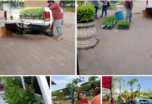 Agradecen Regidoras y Regidores en Movimiento Zapotitlán de Vadillo a Alcalde de El Grullo Por Donación de Árboles