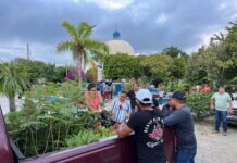 Plantar un Árbol es Proteger y Mejorar el Medio Ambiente: Regidoras y Regidores en Movimiento