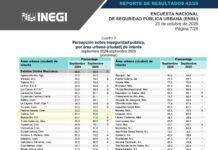 Crece Percepción de Inseguridad en Manzanillo Con Rosi Bayardo