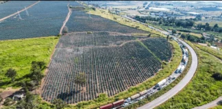 Agricultores Liberan Carreteras Tras Acuerdo Por Precio Del Maíz