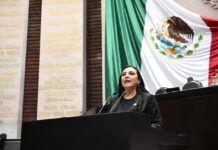 Riqueza de los Puertos Que se Refleje Con Vialidades Dignas en Las Ciudades: Julia Jiménez