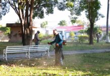 Colima se Cuida Todos Los Días: Continúan Los Trabajos en Parques y Jardines