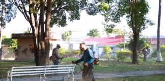 Colima se Cuida Todos Los Días: Continúan Los Trabajos en Parques y Jardines