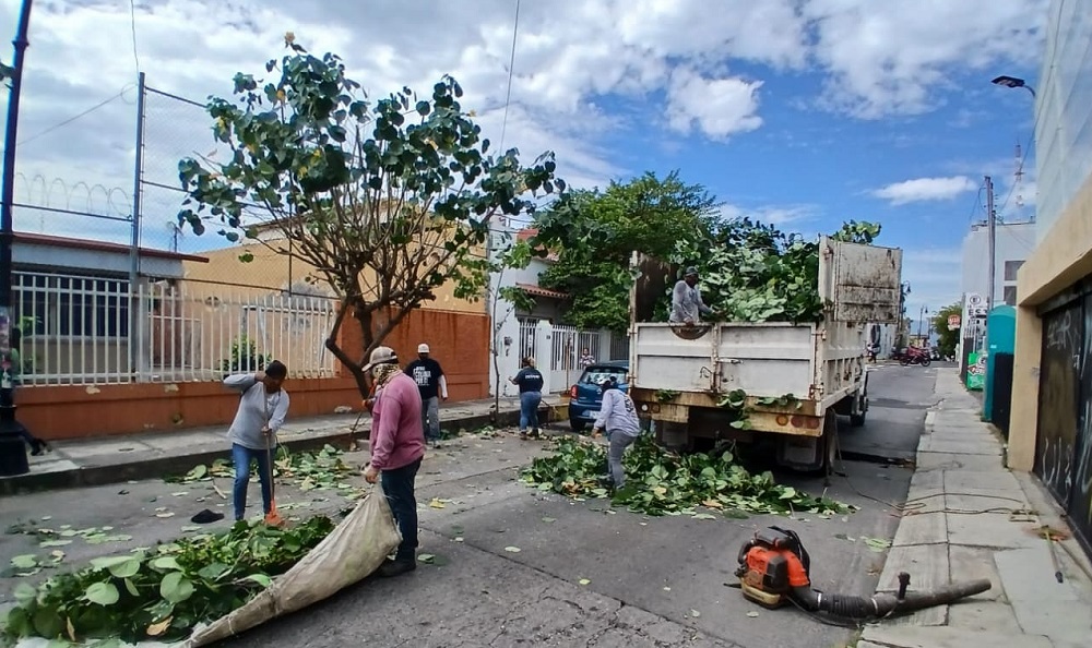 COLIMASEVEYSESIENTEMEJOR