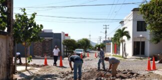 Domingo a Domingo, el Ayuntamiento de Colima Repara Calles Para Mejorar la Movilidad de Todos