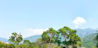 Agua Zarca y Chivas Siguen en lo Más Alto en el Fútbol de Coquimatlán