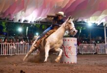 Continúan Las Acciones del 4° Torneo de Rodeo Mixto en la Feria de Colima