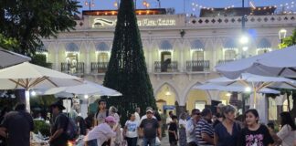 Riult Rivera Impulsar el Mercadito de la Inclusión, en Apoyar a Emprendedores Con Discapacidad