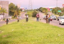 Por Instrucciones Del Alcalde Riult Rivera, se Redoblas Las Acciones de Embellecimiento de Parques, Jardines y Áreas Verde Del Municipio