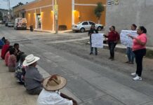 “Organicémonos Para Transformar Nuestra Comunidad”, Iniciativa Direccionada Para Mejorar Zapotitlán de Vadillo