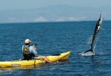 Manzanillo Será Sede del 4to Campeonato Nacional de Pesca Deportiva en Kayak