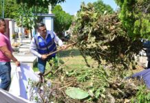 Riult Rivera Trabaja de Tiempo Completo Para Mantener Limpio y en Orden el Panteón Municipal Este Día de Muertos