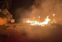 UEPC Colima: 53 Incendios Registrados en Colima Durante el 24 de Diciembre