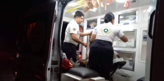 Camioneta Impacta a un Caballo en el Libramiento Los Limones; Atienden CRUM y UEPC Colima a Dos Lesionados