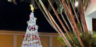 Emite IMSS Colima Recomendaciones Para el Uso Seguro de Luces Navideñas en el Hogar