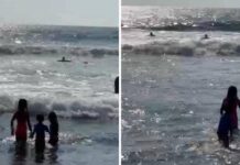 Rescatan Guardavidas de UEPC Colima a Cuatro Personas de Jalisco en el Mar; Entre Ellos un Menor de 11 Años