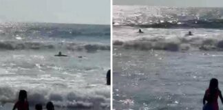 Rescatan Guardavidas de UEPC Colima a Cuatro Personas de Jalisco en el Mar; Entre Ellos un Menor de 11 Años