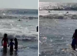 Rescatan Guardavidas de UEPC Colima a Cuatro Personas de Jalisco en el Mar; Entre Ellos un Menor de 11 Años