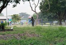 Seguimos Trabajando en Unidad Con la Gente, Para Tener un Colima, Verde, Limpio y Bello: Riult Rivera